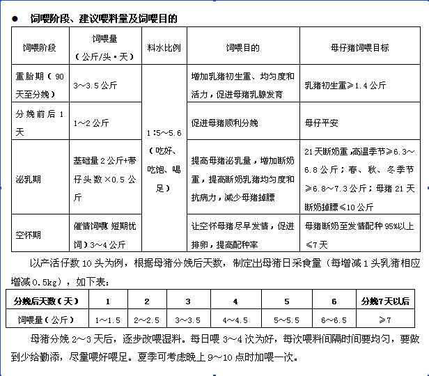 808哺乳母猪浓缩料